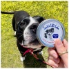 Suzie’s Pet | Salve | CBD | 50mg - Image 2