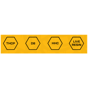 THCP + D8 + HHC + Live Resin -The Plug Distribution 