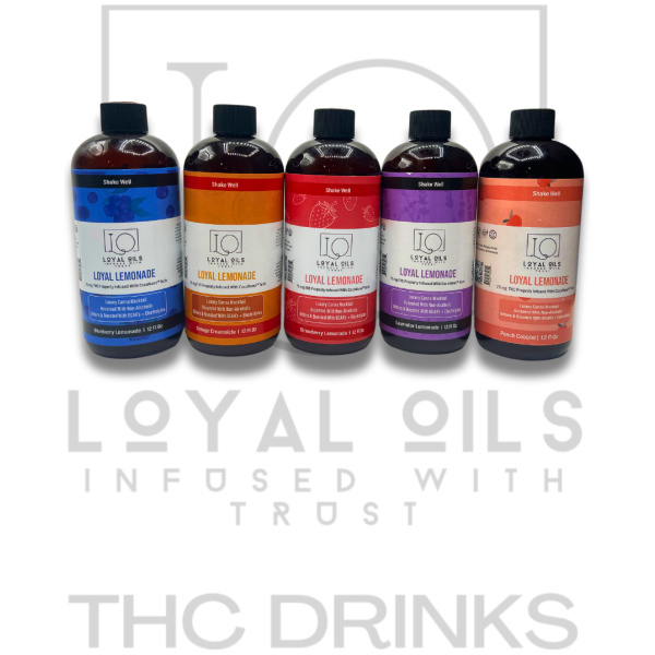 Loyal Oils - Loyal Lemonade - Delta9 - The Plug Distribution