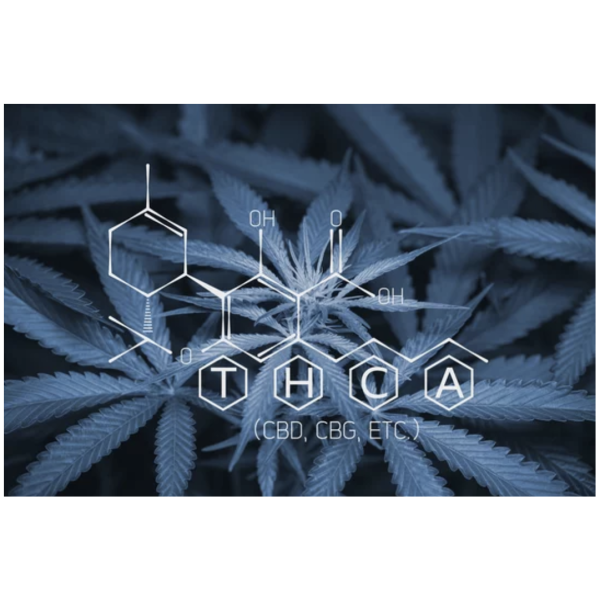 THCA Flower - The Plug Distribution