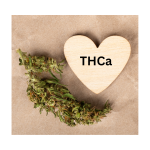 THCa - The Plug Distribution