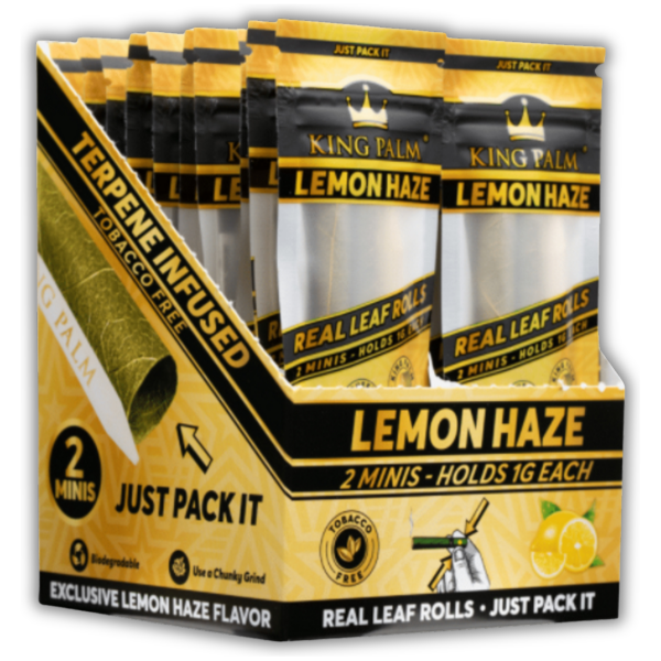 King Palm | MIni | Lemon Haze-ThePlugDistribution